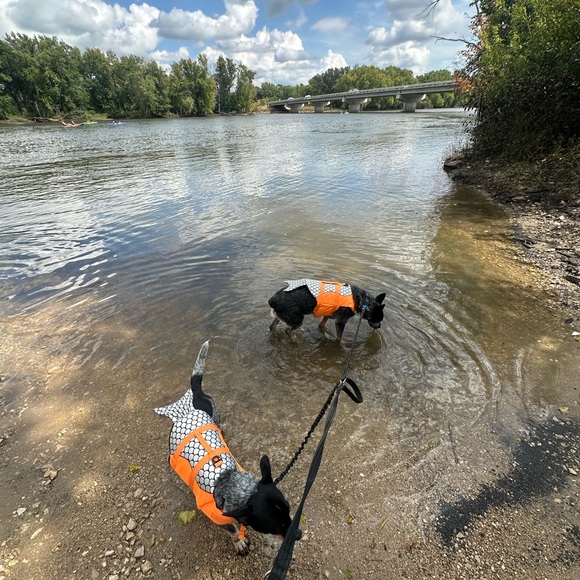 Meet the Posher! - Picture 5 of 6